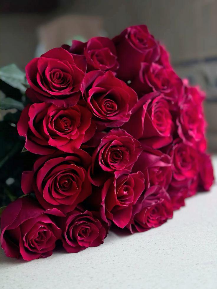 Velvet Blossom Soirée Arrangement